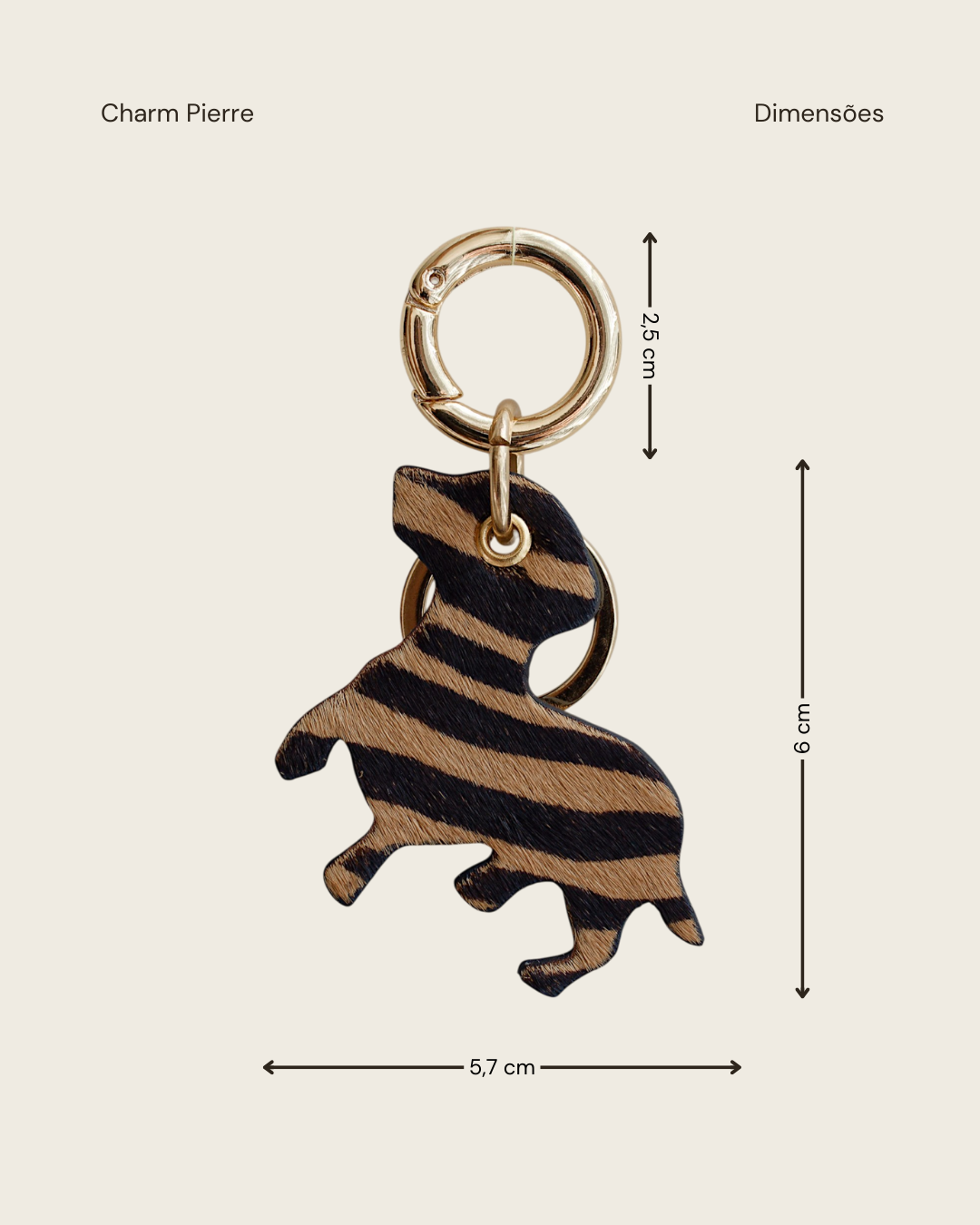 CHARM PIERRE - TIGRE