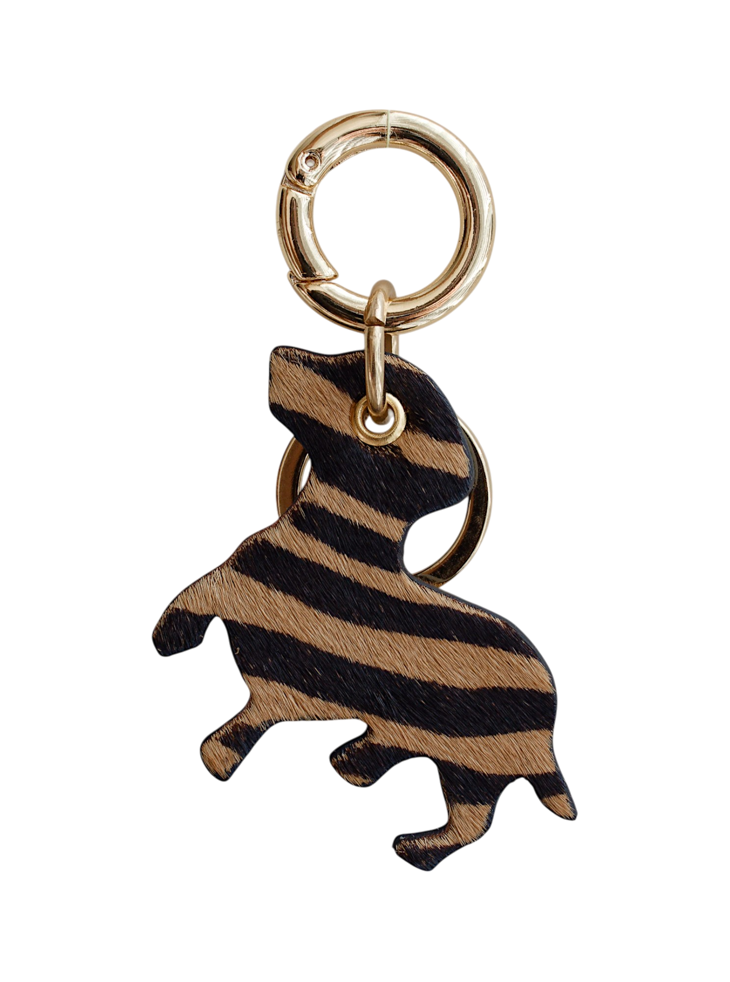 CHARM PIERRE - TIGRE