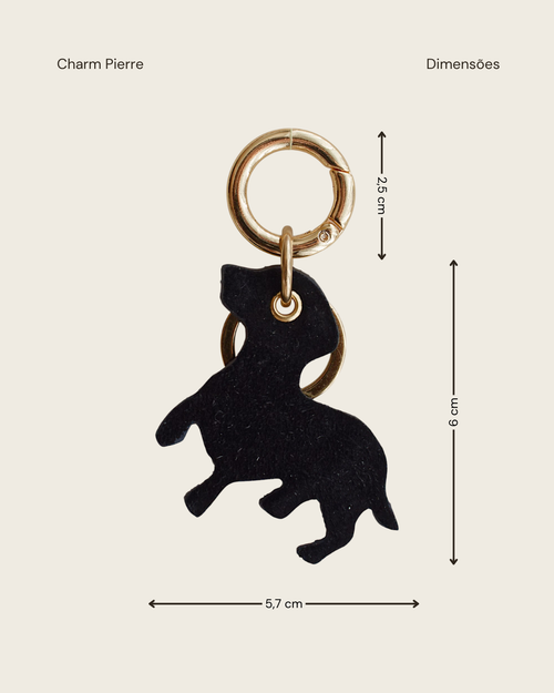 CHARM PIERRE - PRETO - Mirol